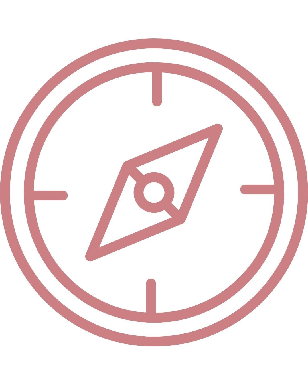 Executive coaching compass